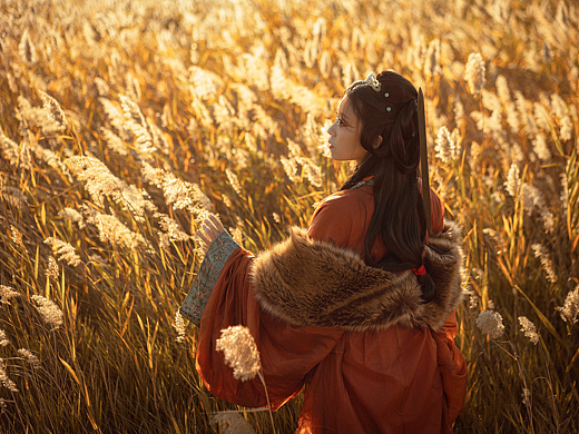 汉服战国袍/蒹葭苍苍