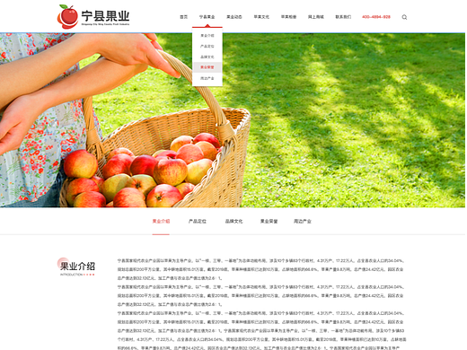 宁县果业