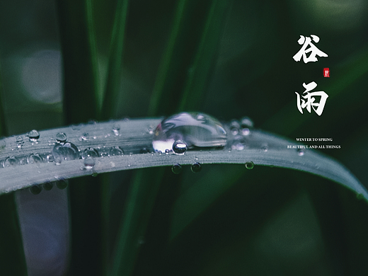 24节气 字体设计（个人主页-ZNjEwNTkxODg=） - 字体/字形 - 站酷设计师凉城旧故原创素材 - 站酷ZCOOL