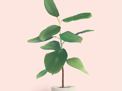 植物插画