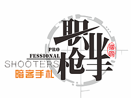 职业枪手-暗客