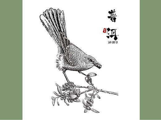 花鸟版画【茶包装设计】（个人主页-ZNjc5NjAzMTI=） - 商业插画 - 站酷设计师珈一YA原创素材 - 站酷ZCOOL