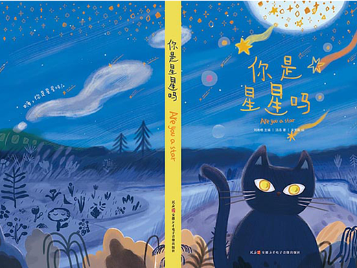 《你是星星吗》文学配图