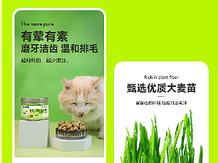 猫粮狗粮详情页宠物零食详情页猫草冻干详情页