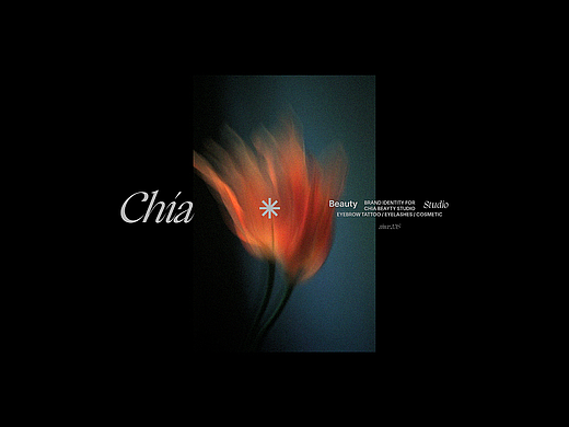 Chia 嘉｜品牌设计