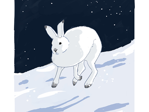 小動(dòng)物和下雪天更配03（個(gè)人主頁(yè)-ZNjM1MzcyMjA=） - 創(chuàng)作習(xí)作 - 站酷設(shè)計(jì)師狐芝士原創(chuàng)素材 - 站酷ZCOOL