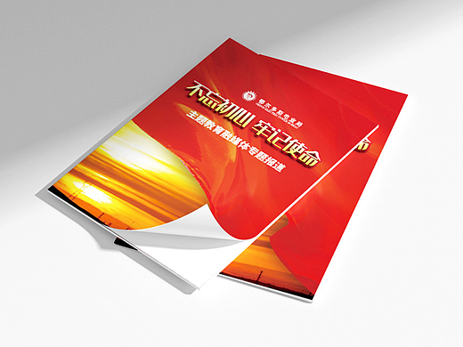 党建画册设计--极嘉文化/朗维设计工作室