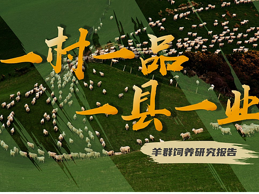羊群饲养行业研究报告（个人主页-ZNjMzOTQ1MzI=） - PPT/Keynote - 站酷设计师Eliasssss原创素材 - 站酷ZCOOL