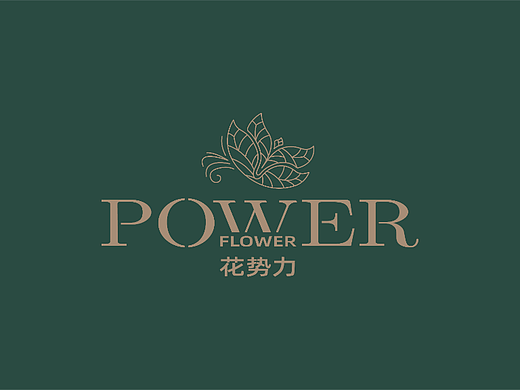 花势力品牌设计总结