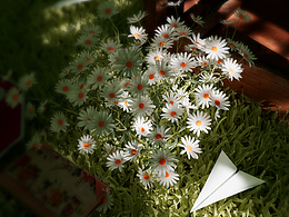 三维 PAPER PLANE