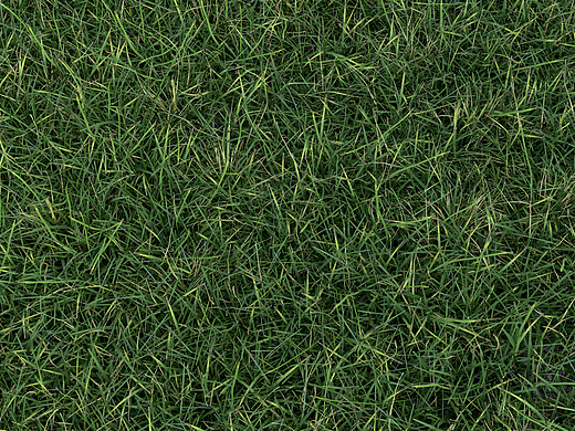 到秋天了（个人主页-ZNjI1NzU3NjQ=） - 产品 - 站酷设计师吾吾S原创素材 - 站酷ZCOOL