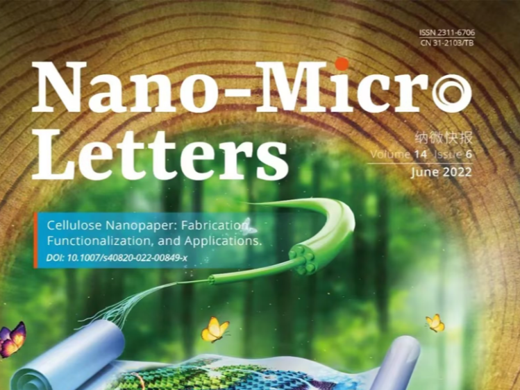 Nano-Micro Letters期刊封面图_scihua-站酷ZCOOL