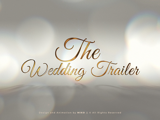 AE模板 | 优雅结婚字幕模板婚礼标题动画片头婚庆特效