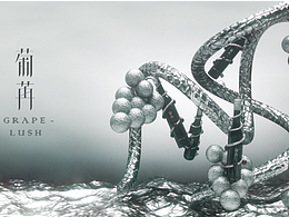 葡苒 葡萄酒-包装设计