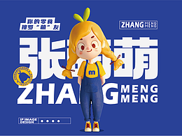 IP设计