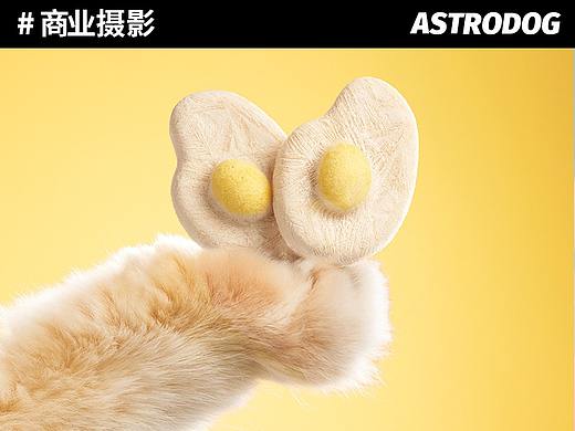 宠物食品拍摄—— 猫儿游记荷包蛋冻干｜宠物零食冻干