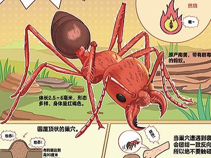 科普插图
