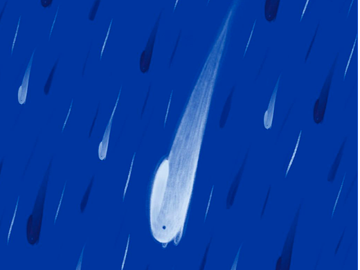 #WOW 天气兔系列——《下雨兔》（个人主页-ZNjE2MTY1MDQ=） - 艺术插画 - 站酷设计师荭萝原创素材 - 站酷ZCOOL