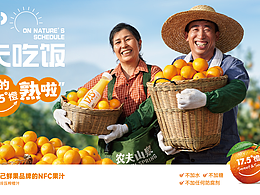 农夫山泉 17.5°果汁
