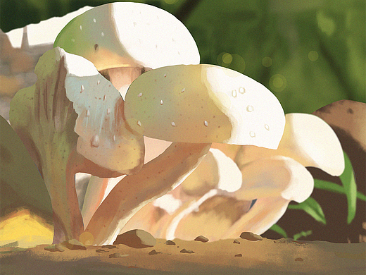 DAY9-蘑菇