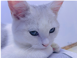 和小九月的生活