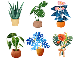 植物系列-植物控