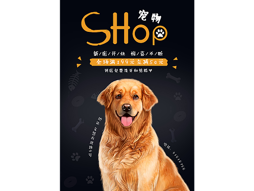 宠物海报（个人主页-ZNjExOTUwNDg=） - 海报 - 站酷设计师Z09940893原创素材 - 站酷ZCOOL