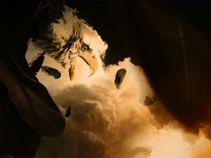 电影《天空之眼》自创几款海报(非官方)