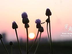 十二节气跟进（个人主页-ZMTM0MjAyMA==） - 人文/纪实摄影 - 站酷设计师设头设尾原创素材 - 站酷ZCOOL