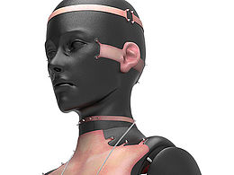 3Dmodel for Sunvagaries