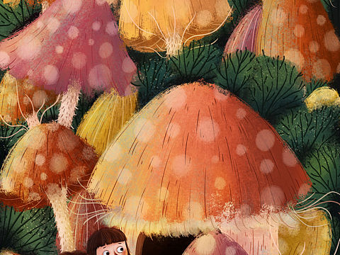 蘑菇屋探险🍄