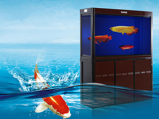 水族行业店铺装修