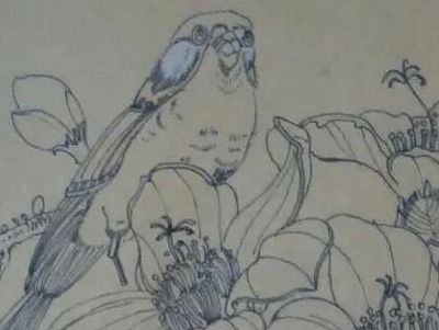 线稿篇——工笔花鸟