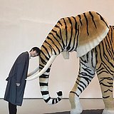 INTIAM的头像