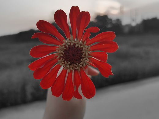 红色（个人主页-ZNTMwODU0MDA=） - 风光摄影 - 站酷设计师魏贰拾肆原创素材 - 站酷ZCOOL