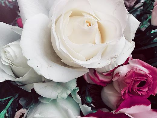 世上没有不好看的花