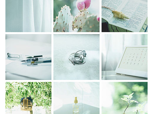 徜徉在八月的尾巴里