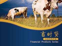 蓄时贷宣传册设计