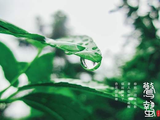 惊蛰（个人主页-ZNDMxNDA3Mjg=） - 字体/字形 - 站酷设计师老关设计原创素材 - 站酷ZCOOL