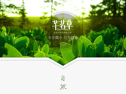 品牌设计学习