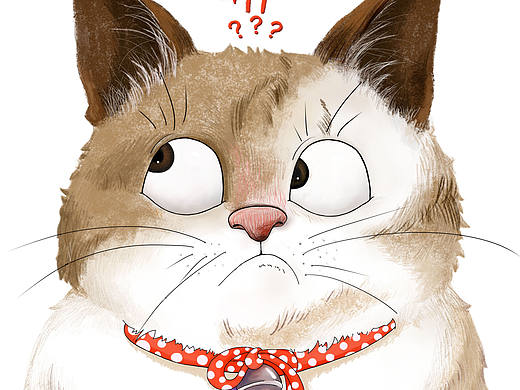 猫们（个人主页-ZMTI4OTMwNDg=） - 创作习作 - 站酷设计师VitaHuo原创素材 - 站酷ZCOOL