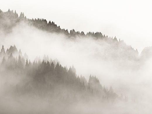 霧（個(gè)人主頁(yè)-ZMjg2MDY4MzI=） - 風(fēng)光攝影 - 站酷設(shè)計(jì)師木之pho原創(chuàng)素材 - 站酷ZCOOL