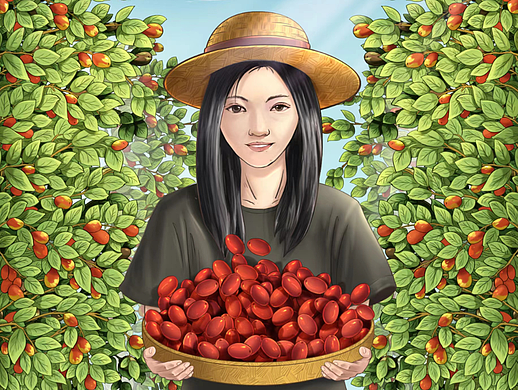 北京商业插画包装设计《大丰收》女孩绘制