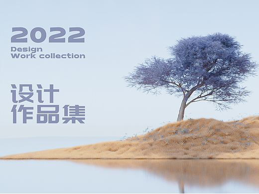 2022个人设计作品集