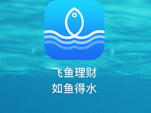 飞鱼金融