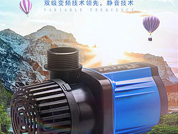 详情