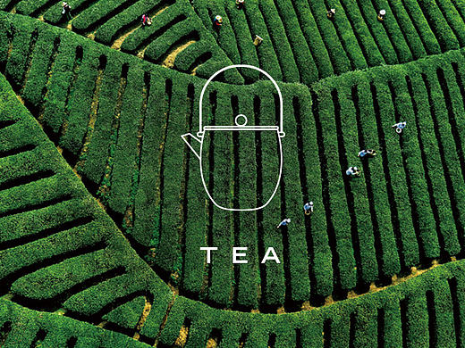 茶