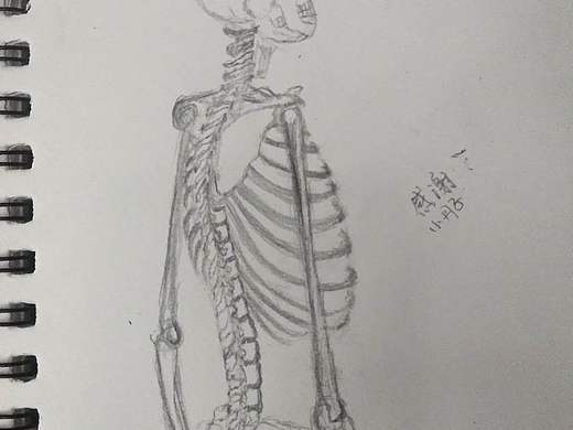 人体练习（个人主页-ZMzIzMjgxMTI=） - 创作习作 - 站酷设计师赵一只狼原创素材 - 站酷ZCOOL