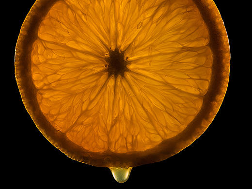 橙子（个人主页-ZMzI2NDQ1MDg=） - 产品摄影 - 站酷设计师大芒果0原创素材 - 站酷ZCOOL