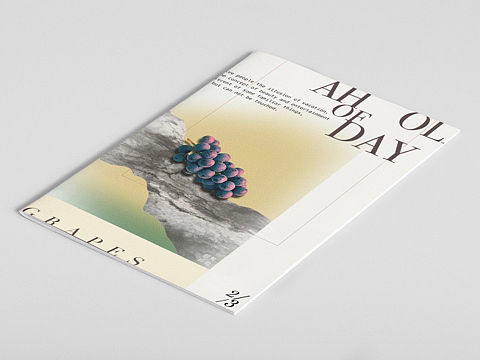 假日葡萄|城市角力